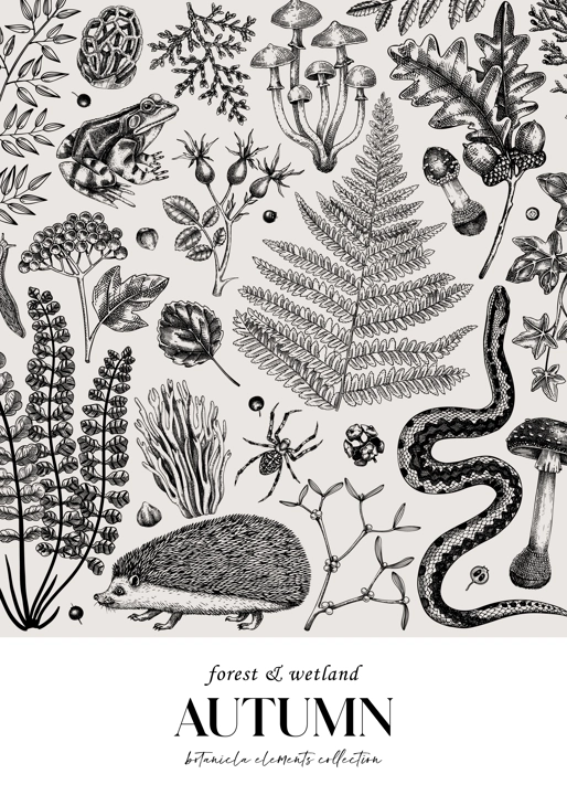 Autumn forest background. Hand drawn fallen leaves, ferns, autumn plants, mushrooms, woodland animals sketches. Botanical design template of card, invitation, cover